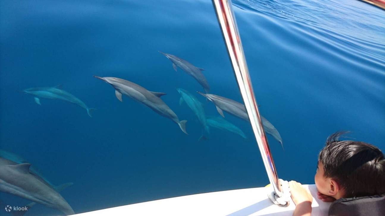 Yilan Turtle Island Half-Day Tour: Wushih Legend